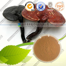 Extracto de Ganoderma Lucidum de alta calidad Ganoderma Lucidum Polysaccharide